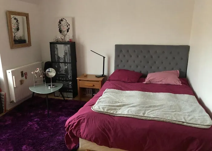 3 Chambres Chez Particulier Pour Les 24H Du Mans